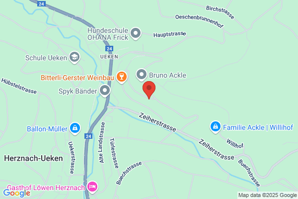 Elysion Gmbh