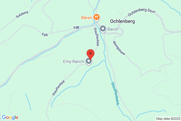 Eggenschwiler Consulting