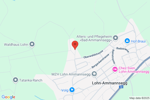 Temm Disco-u. Konzert- anlagen GmbH