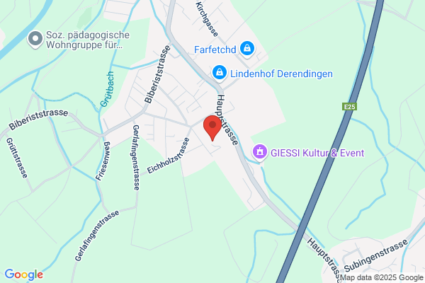 ruefenacht consult GmbH