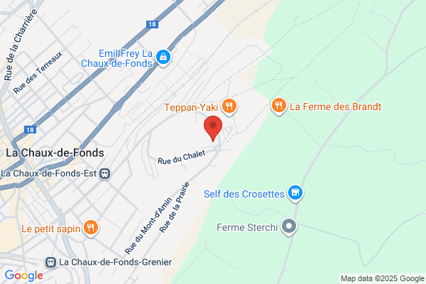 Denner Satellite