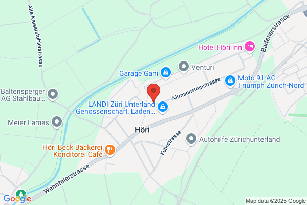 ZürichPutzen