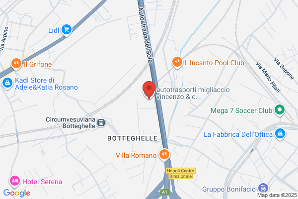 D. Migliaccio Transporte
