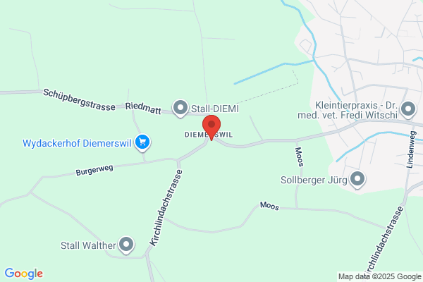 Restaurant Diemerswil