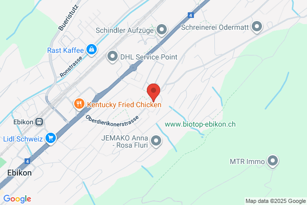 Rigi-Taxi