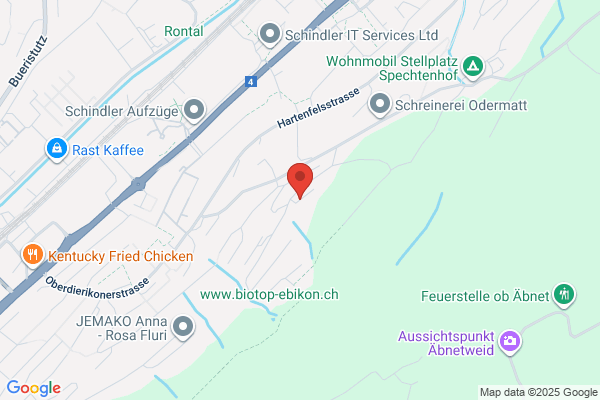 Speiser Familienholding AG