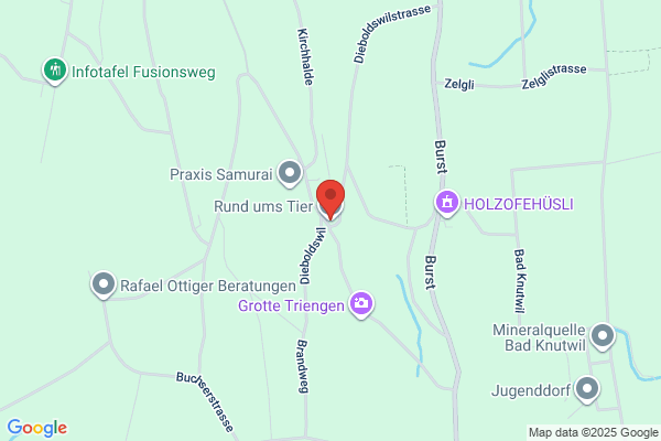 Tierpension Staffelweid GmbH