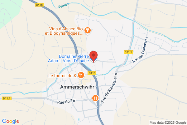 Adamir Perdrizat fils