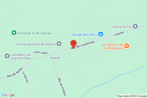 Denner Satellit