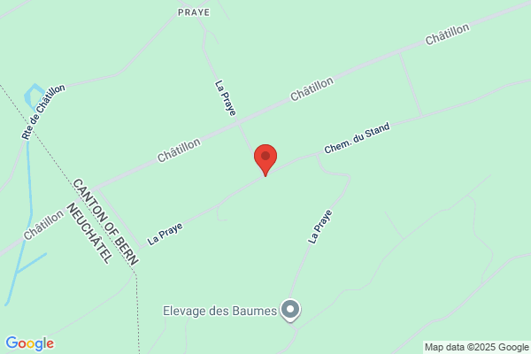 Philippe Gauchat