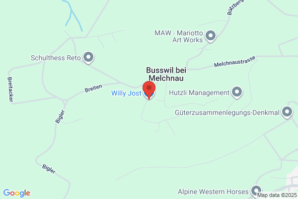 Willy Jost