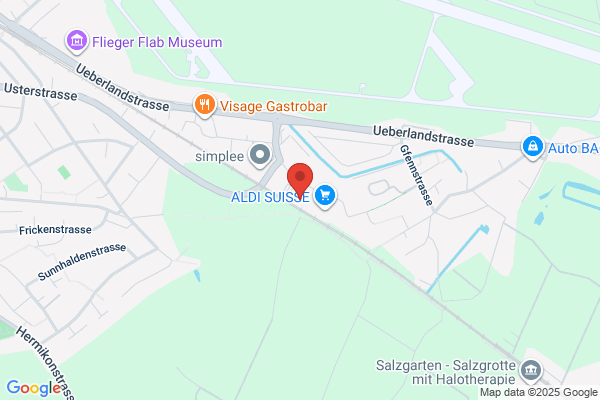 Auto Schwegler