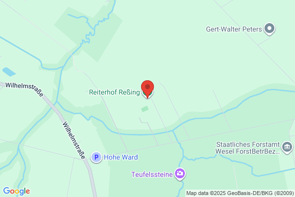 Walter Ressing p-ad