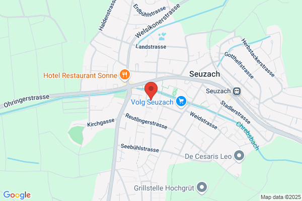 Ray Treuhand & Revisionen AG