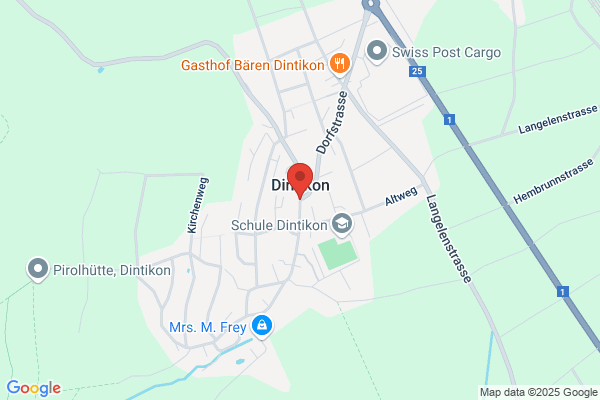 CMM Services Dottikon