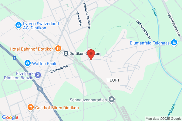 DOTTIKON ES HOLDING AG