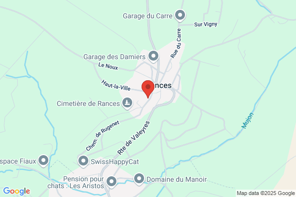Info service VDR, Houle