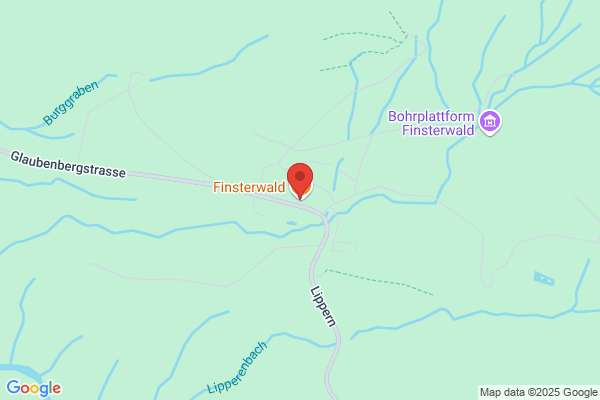 Restaurant Finsterwald