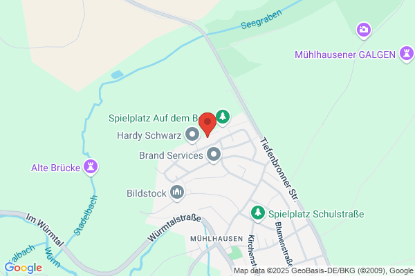 MFR Software Ruesch