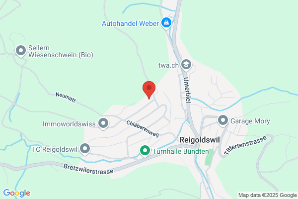 Borer Informatik AG