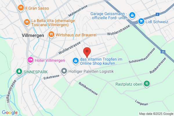 Holzmann Informatik