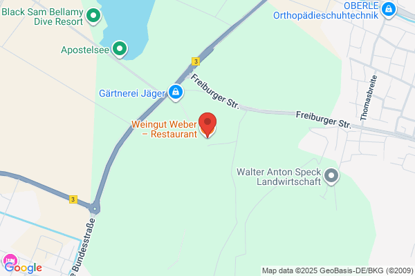 Restaurant Weber