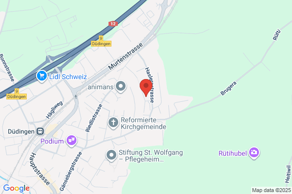 Sternhaus Duedingen AG
