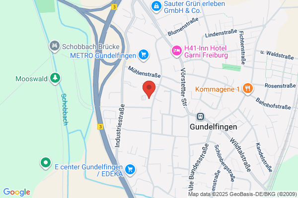 Trade and Investment Services GmbH