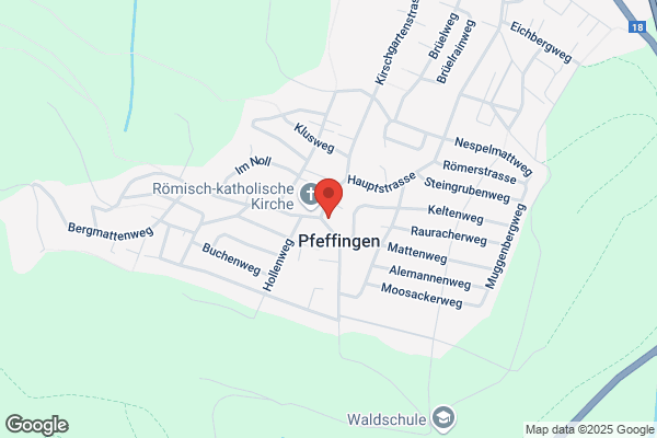 P. Gutzwiller Inhaber Ch. Wenziker Schreinerei GmbH