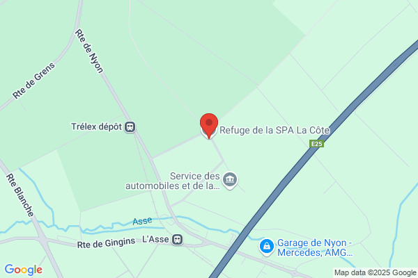 Refuge de la SPA - La Côte