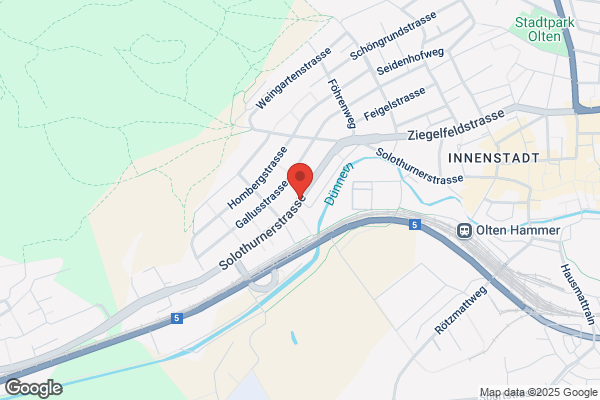 Dionex (Switzerland) AG