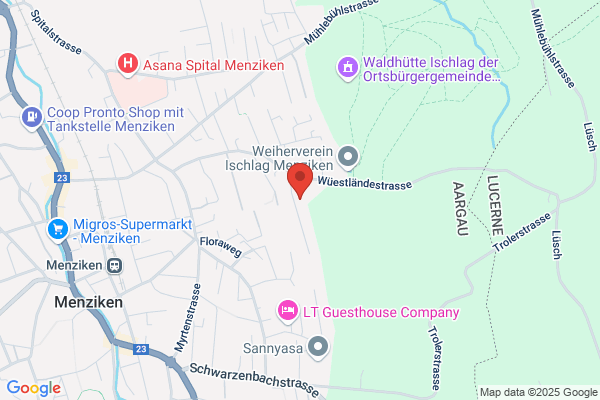 Widmer Immobilien AG