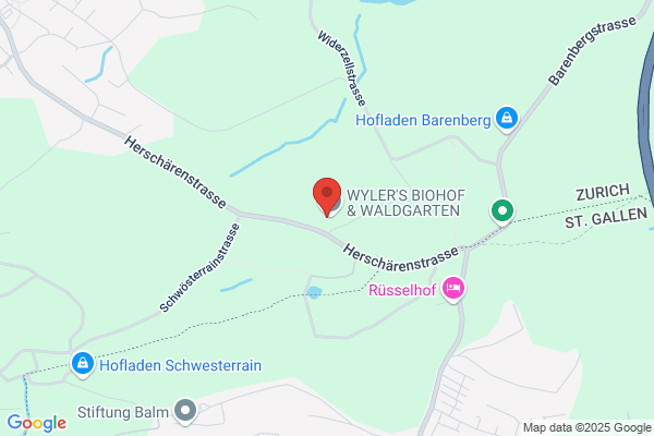 Wylcom-Wyler Informations- technologien