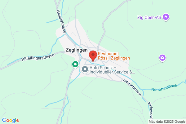 Eduard Staehelin Organisation