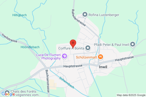 Finanzplanung R. Zwyssig