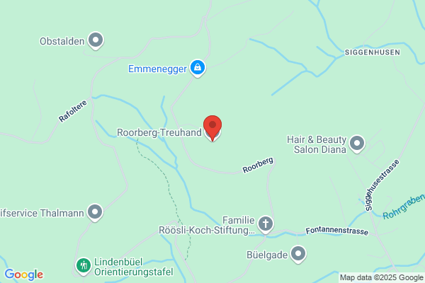 Richenberger Treuhand