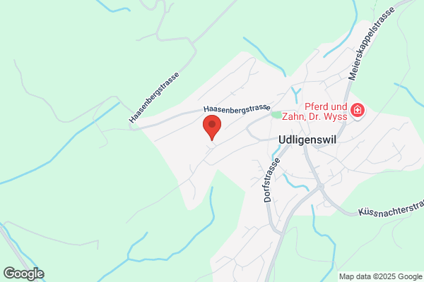 Drogen Forum Innerschweiz DFI