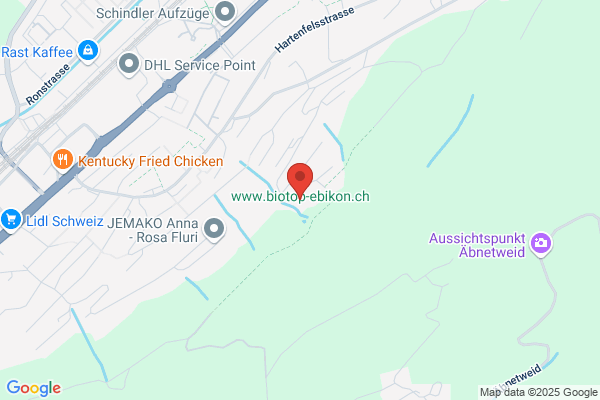 Speiser Familienholding AG