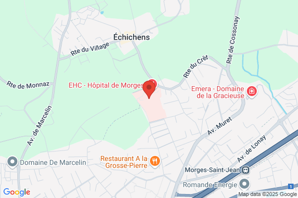 Dr méd. Thierry Pache Hôpital de Zone