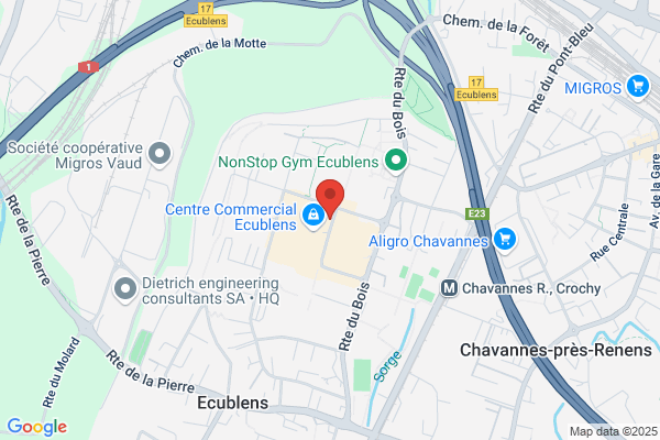 Chicorée