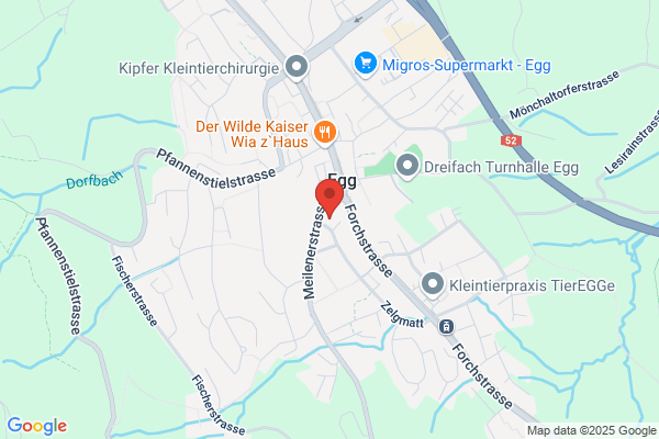 Zweifel und Weber AG