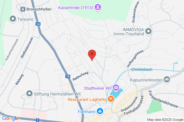 Merz Informatik AG