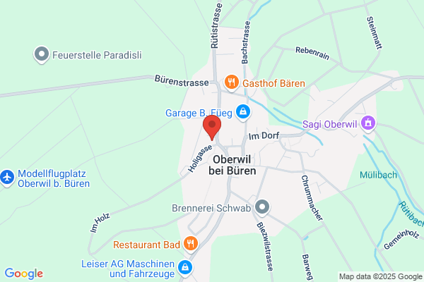 Max Braendli