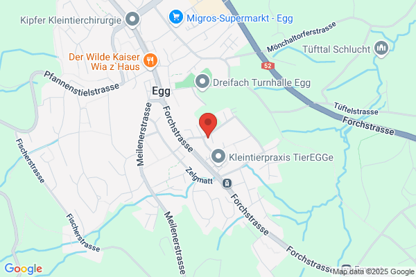 Zuercher Zaedow AG