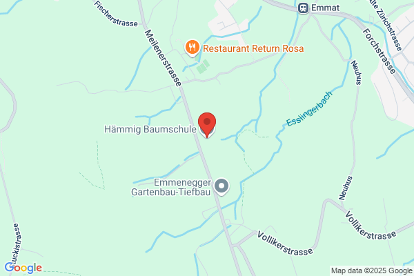 Hans Meili
