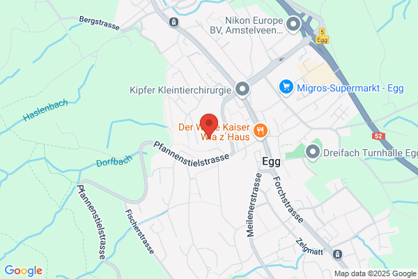 Primarschulhaus Dorfmeilen
