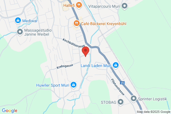 PM Consult Projektmanagement Informatik R. Buhl