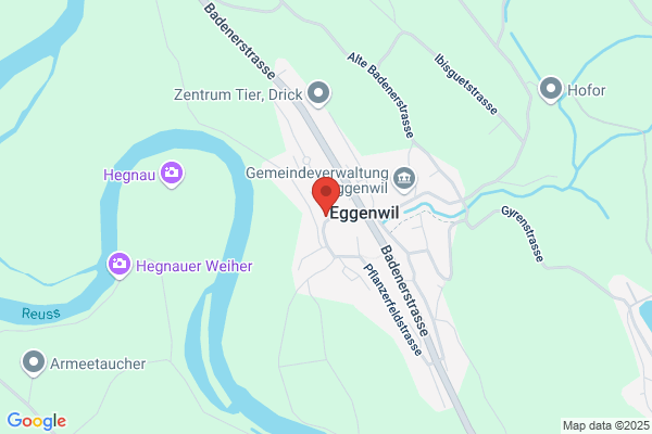 Stiftung fuer das Wohl des Hundes