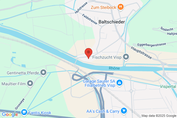 Clemenz + schmidt gmbh