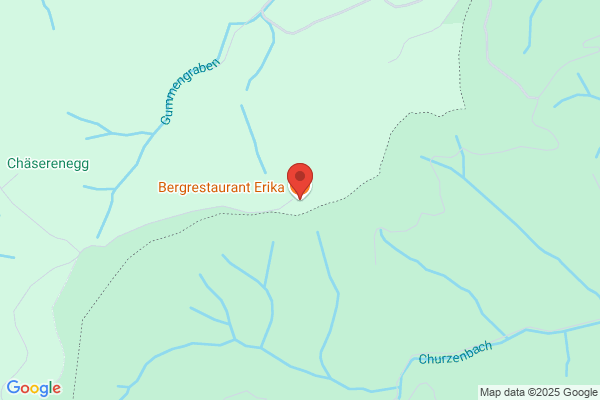 Bergrestaurant Erika